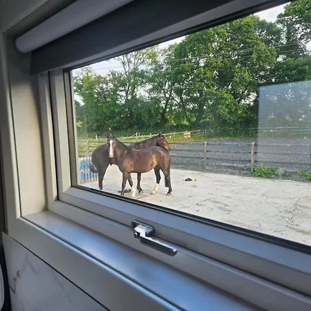 Nead Neamhai 킬라니