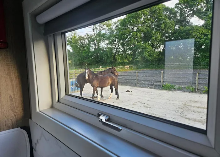 Nead Neamhai 킬라니